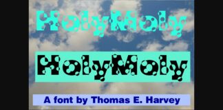 HolyMoly Font Poster 1