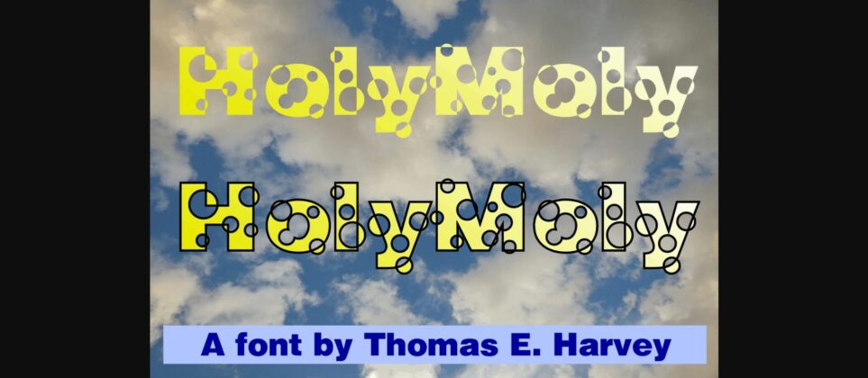 HolyMoly Font Poster 4