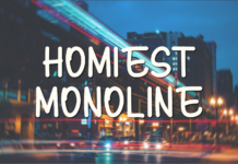 Homiest Monoline Font Poster 1