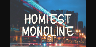Homiest Monoline Font Poster 1