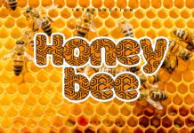 Honeybee Font Poster 1