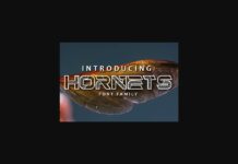 Hornets Font Poster 1