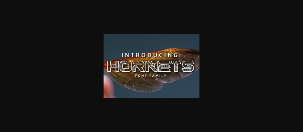 Hornets Font Poster 1