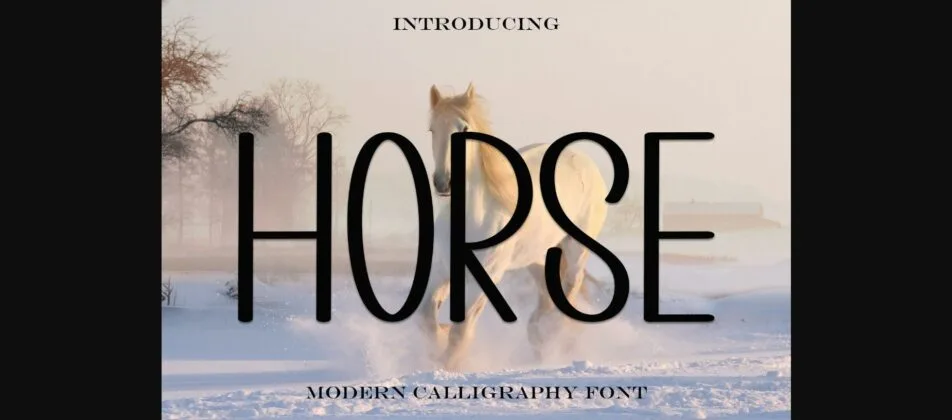 Horse Font Poster 3