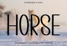 Horse Font Poster 1