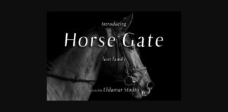 Horse Gate Font Poster 1