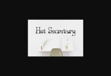 Hot Secretary Font Poster 1
