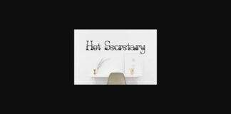 Hot Secretary Font Poster 1