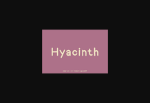 Hyacinth Font Poster 1