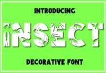 Insect Font Poster 1
