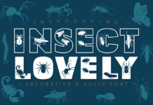 Insect Lovely Font Poster 1