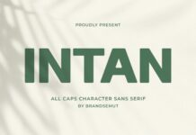 Intan Font Poster 1