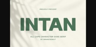 Intan Font Poster 1