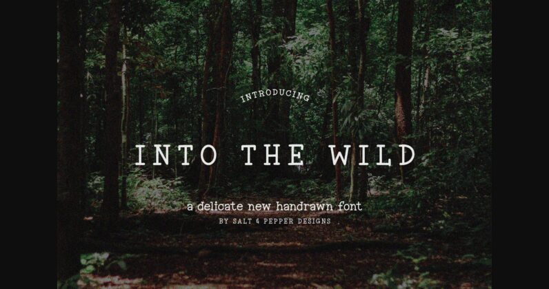 Into the Wild Poster 1