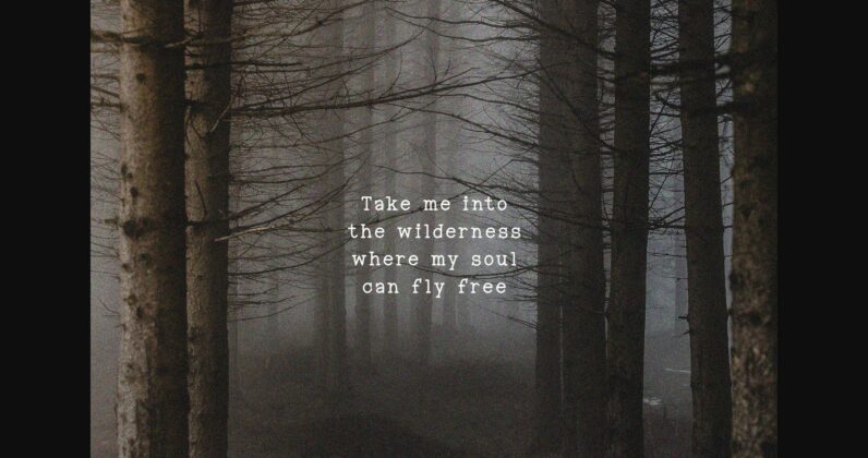 Into the Wild Poster 2