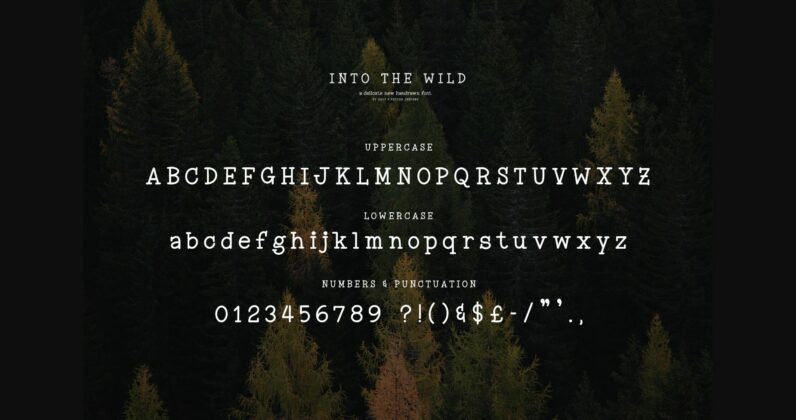 Into the Wild Poster 9