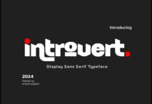 Introvert Font Poster 1