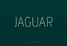 Jaguar Font Poster 1