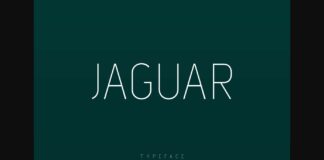 Jaguar Font Poster 1