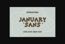 January Sans Font Poster 1