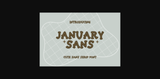 January Sans Font Poster 1