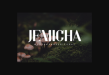 Jemicha Font Poster 1