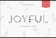 Joyful Font Poster 1