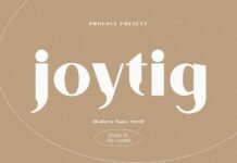 Joytig Font Poster 1