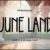 June Land Font
