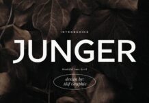 Junger Font Poster 1