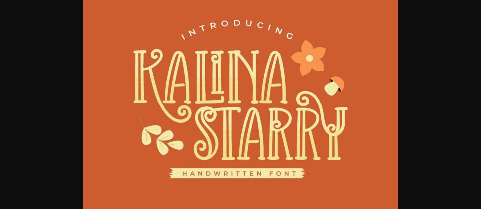 Kalina Starry Font Poster 3