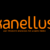 Kanellus Font