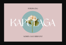 Kapulaga Font Poster 1