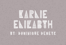 Karlie Elizabeth Font Poster 1