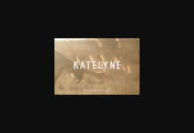 Katelyne Font Poster 1