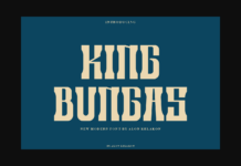 King Bungas Font Poster 1