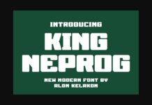 King Neprog Font Poster 1