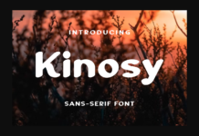 Kinosy Font Poster 1