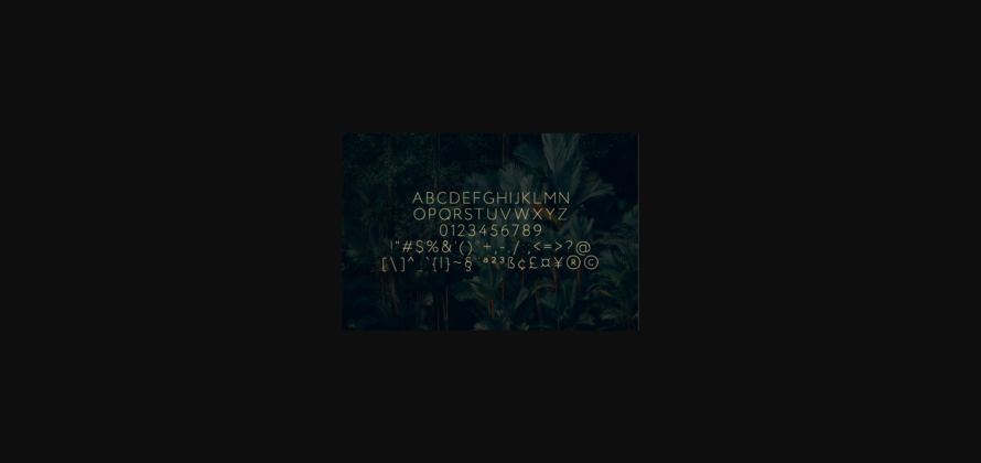 Koalah Font Poster 4