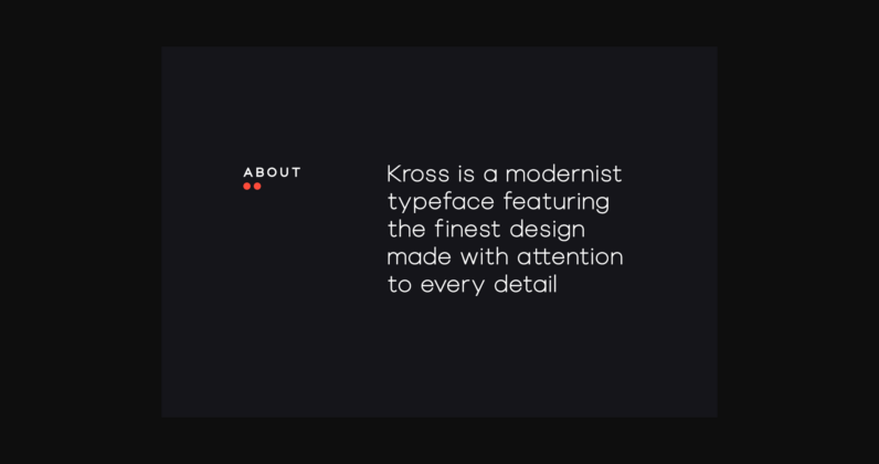 Kross Neue Grotesk Font Poster 4