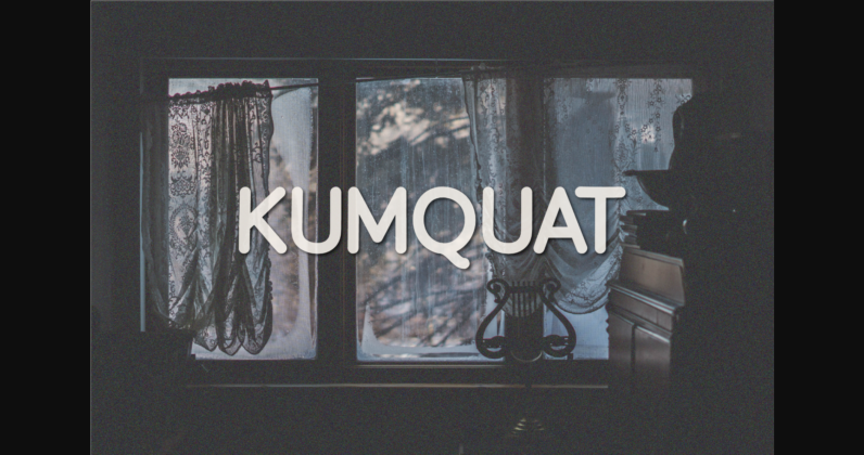 Kumquat Font Poster 3