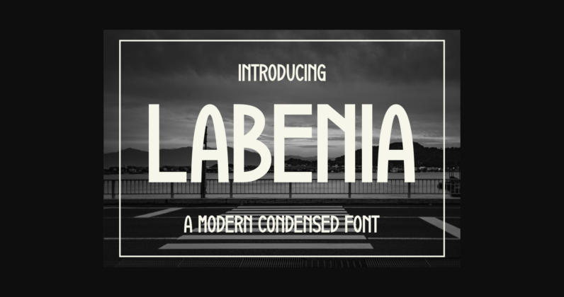 Labenia Font Poster 3