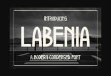 Labenia Font Poster 1