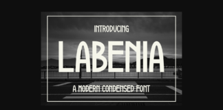 Labenia Font Poster 1