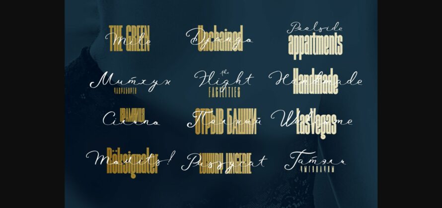 LaBonita Font Poster 5