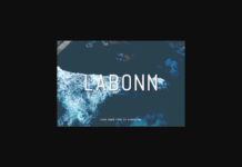 Labonn Font Poster 1