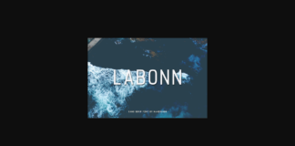 Labonn Font Poster 1