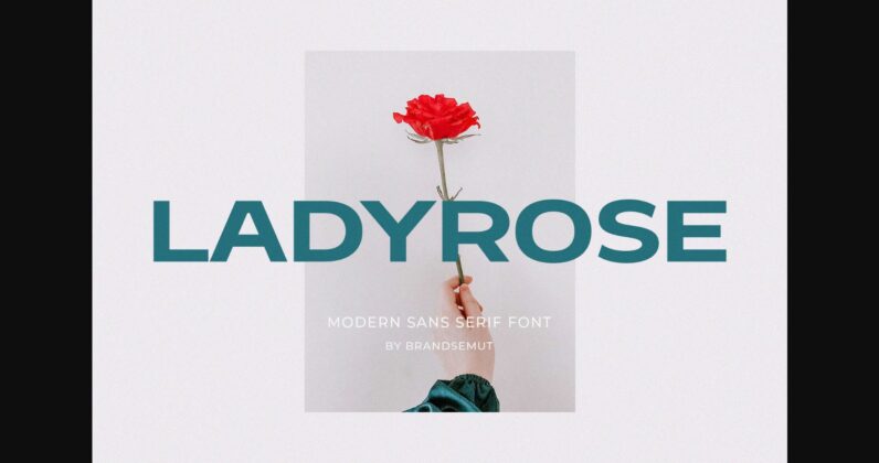 Ladyrose Font Poster 3