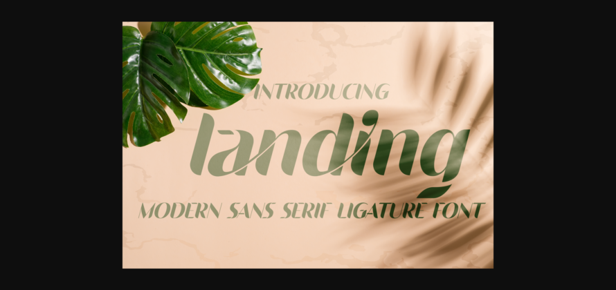 Landing Font Poster 3