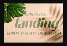 Landing Font Poster 1